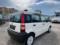 Usata Fiat Panda Active 54 CV (39 kW) 2009 Bianco Utilitaria