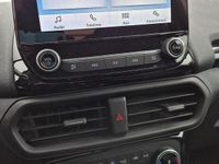 Usata Ford Ecosport 125 CV (91 kW) 2021 Grigio SUV