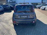 usata Fiat Panda Cross 1.0 FireFly S&S Hybrid