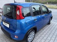 Usata Fiat Panda S 69 CV (50 kW) 2025 Utilitaria