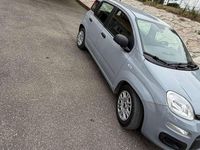 Usata Fiat Panda City Life 69 CV (50 kW) 2022 Grigio Utilitaria