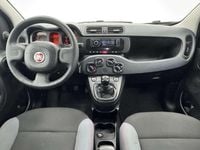 Usata Fiat Panda Easy 69 CV (50 kW) 2017 Argento Berlina