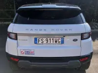 Usata Land Rover Range Rover evoque 150 CV (110 kW) 2019 Bianco SUV