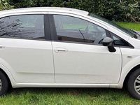 Usata Fiat Punto Lounge 75 CV (55 kW) 2013 Bianco Berlina