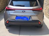 usata Lexus UX 250h