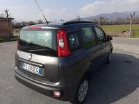 Usata Fiat Panda 69 CV (50 kW) 2019 Grigio Utilitaria