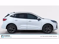 Usata Ford Kuga ST-Line X 225 CV (165 kW) 2023 Bianco frozen SUV