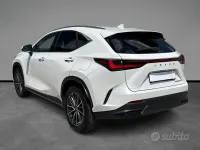 Usata Lexus NX350h 190 CV (139 kW) 2023 Bianco SUV