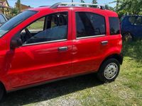 Usata Fiat Panda 2006 Utilitaria