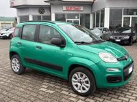 Usata Fiat Panda Pop 84 CV (61 kW) 2014 Verde Utilitaria