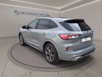 Usata Ford Kuga ST-Line X 224 CV (164 kW) 2020 Grigio chiaro metallizzato SUV