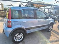 Usata Fiat Panda 4x4 Climbing 75 CV (55 kW) 2007 Blu Utilitaria