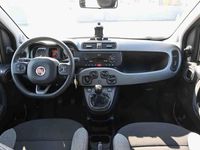 Usata Fiat Panda City Life 70 CV (51 kW) 2022 Grigio Utilitaria