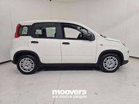 Usata Fiat Panda S 70 CV (51 kW) 2024 Bianca Utilitaria