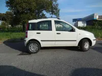 Usata Fiat Panda Dynamic 60 CV (44 kW) 2009 Bianco Utilitaria