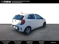 Usata Kia Picanto Active 65 CV (47 kW) 2019 Bianco Utilitaria