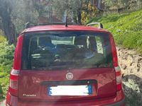 Usata Fiat Panda 60 CV (44 kW) 2009 Utilitaria