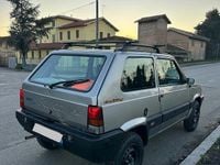 Usata Fiat Panda 4x4 Trekking 54 CV (39 kW) 2000 Grigio Utilitaria