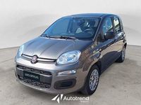 Usata Fiat Panda S 70 CV (51 kW) 2022 Grigio scuro Utilitaria