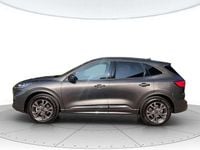 Usata Ford Kuga ST-Line X 152 CV (111 kW) 2022 Grigio SUV