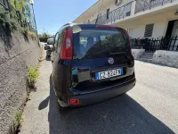 Usata Fiat Panda Easy 95 CV (69 kW) 2016 Utilitaria