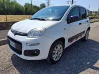 Usata Fiat Panda 4x4 86 CV (63 kW) 2019 Bianco pastello Utilitaria