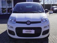 usata Fiat Panda New1.2 EasyPower Easy GPL adatta a Neopatentati