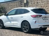Usata Ford Kuga ST 120 CV (88 kW) 2023 Bianco SUV