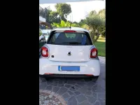Usata Smart ForFour Electric Drive Passion 41 kW (56 CV) 2019 Bianco Utilitaria