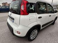 Usata Fiat Panda S 69 CV (50 kW) 2022 Utilitaria