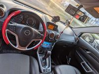 Usata Opel Antara Cosmo 163 CV (119 kW) 2012 Nero SUV