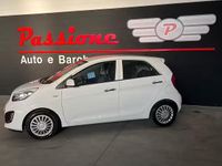 Usata Kia Picanto 67 CV (49 kW) 2015 Bianco Utilitaria