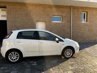 usata Fiat Punto Evo Punto Evo III 2009 5p 1.3 mjt Active 75cv