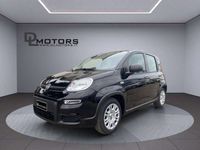 Usata Fiat Panda Icon 69 CV (50 kW) 2024 Nero Utilitaria