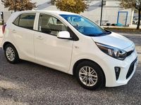 Usata Kia Picanto Urban 67 CV (49 kW) 2024 Bianco Utilitaria