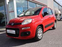 Usata Fiat Panda Easy 95 CV (69 kW) 2019 Rosso Utilitaria