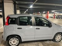 Usata Fiat Panda 69 CV (50 kW) 2018 Utilitaria