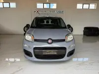 Usata Fiat Panda Easy 69 CV (50 kW) 2020 Grigio Utilitaria