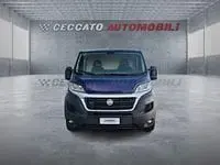 Usata Fiat Ducato 116 CV (85 kW) 2019 Blu Furgone