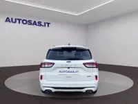 Usata Ford Kuga ST-Line X 225 CV (165 kW) 2023 Bianco SUV