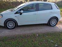 Usata Fiat Punto Evo 85 CV (62 kW) 2013 Bianco Utilitaria