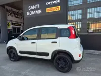 Usata Fiat Panda 4x4 95 CV (69 kW) 2017 Bianco Utilitaria