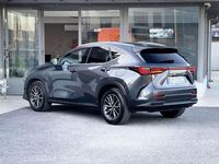 Usata Lexus NX300h 190 CV (139 kW) 2022 Grigio SUV