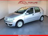 Usata Fiat Punto Active 70 CV (51 kW) 2010 Argento Utilitaria