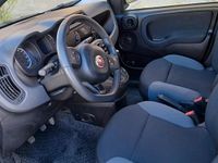 Usata Fiat Panda 4x4 Wild 86 CV (63 kW) 2019 Verde Utilitaria