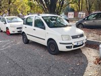 Usata Fiat Panda 60 CV (44 kW) 2009 Bianco Utilitaria