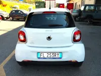 Usata Smart ForFour Passion 71 CV (52 kW) 2017 Bianco Utilitaria