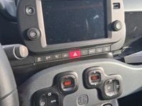 Usata Fiat Panda Cross Cross 69 CV (50 kW) 2024 Verde Utilitaria