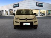 usata Fiat Panda 1.0 FireFly 70cv S&S Hybrid City Life