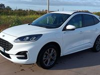 Usata Ford Kuga ST-Line X 224 CV (164 kW) 2023 Bianco SUV